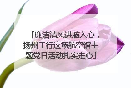 廉洁清风进脑入心，扬州工行这场航空馆主题党日活动扎实走心
